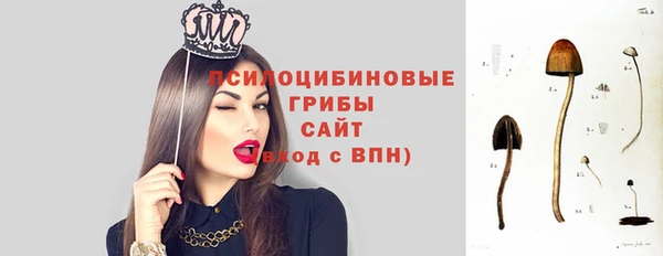 стафф Алексеевка