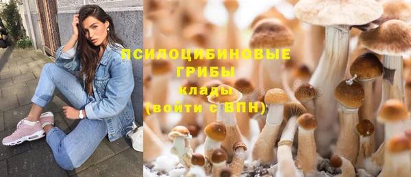 мет Алзамай