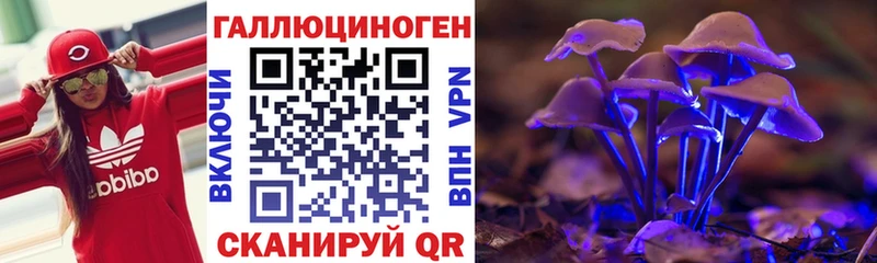 MEGA ТОР Ардатов Галлюциногенные грибы Psilocybe